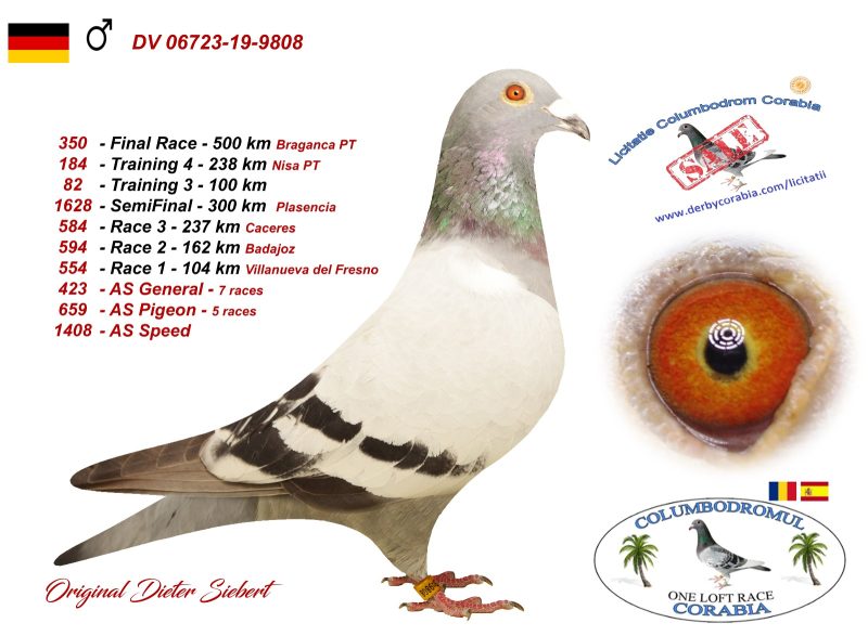 DV 06723-2019-9808 M V.d.Bulck-Kees Bossua OLR-Corabia W'20