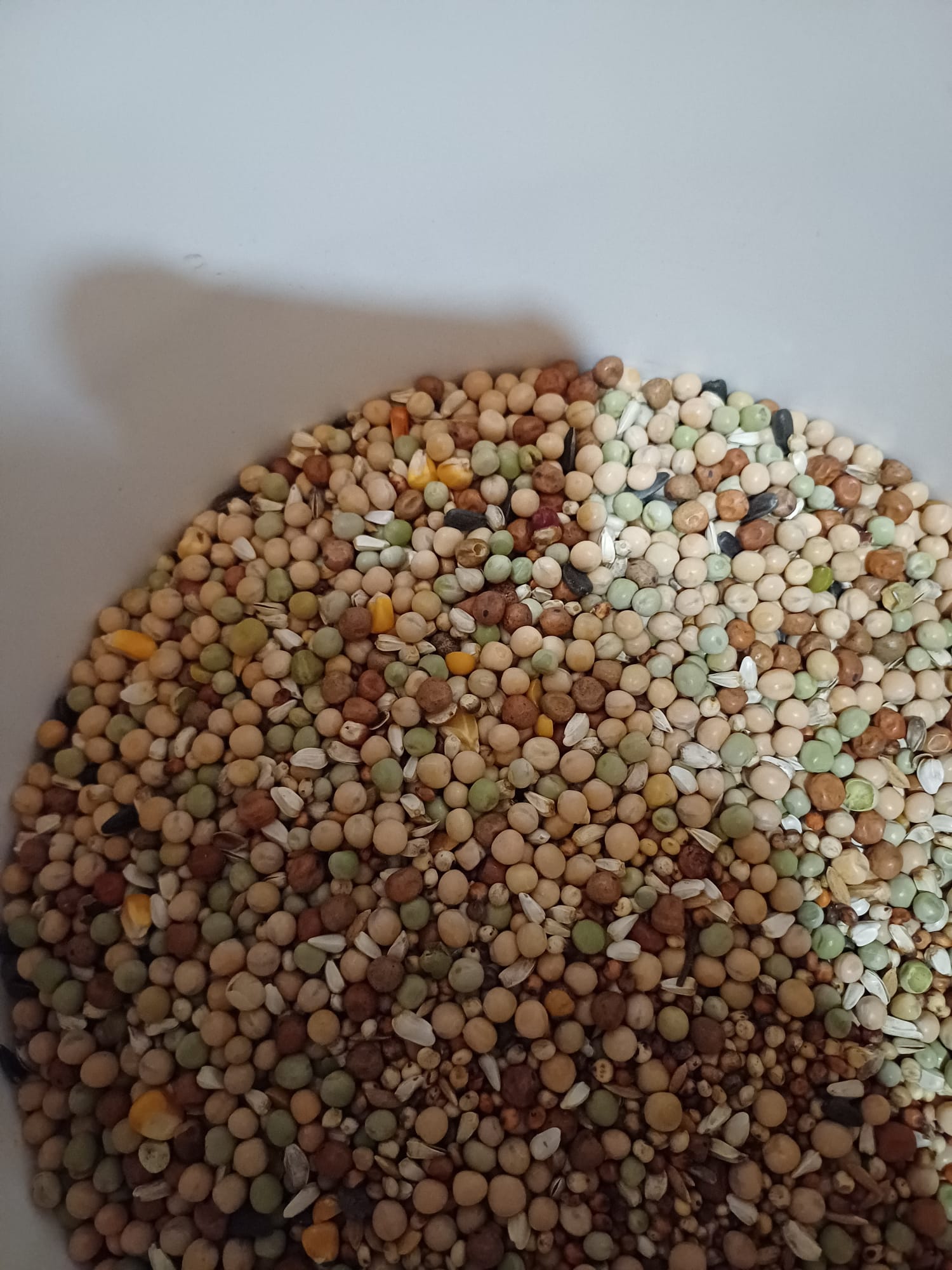 Hrana Reproductie 25 kg