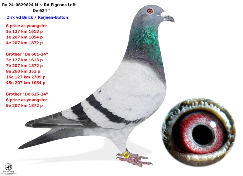 Ro 24-629624 M loc 4 prov. Viteza Pui