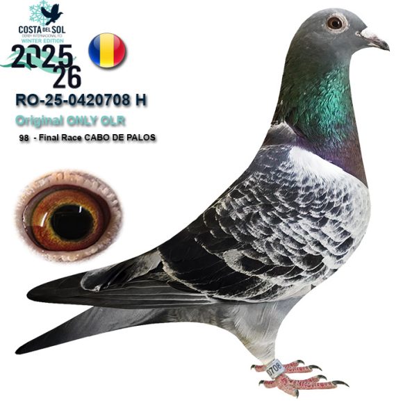 RO 25-0420708 M 100% Hardy Krüger loc 98 Finala OLR Costa del Sol W'26